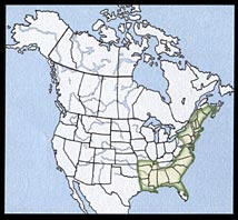 Chain Pickerel Range Map