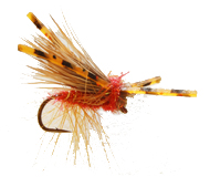 caddis